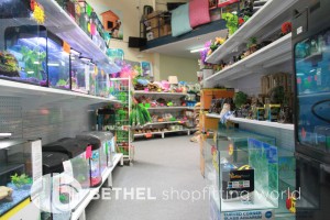 Pet Aquarium Shelving Shopfitting Racking v